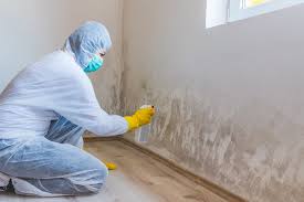 Best Mold Remediation for Healthcare Facilities  in Seffner, FL